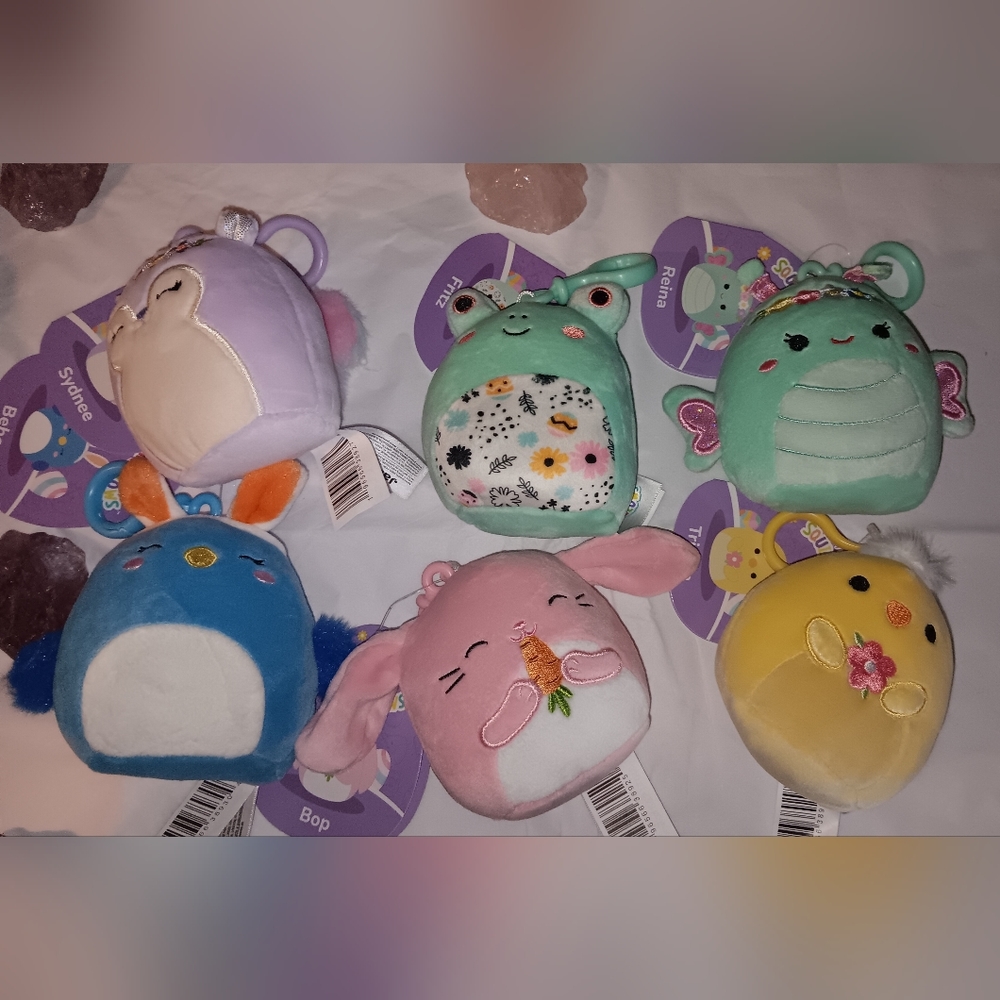 All Sold Or Givin To A Good Cause. NwT.  Mini squishmallow clips